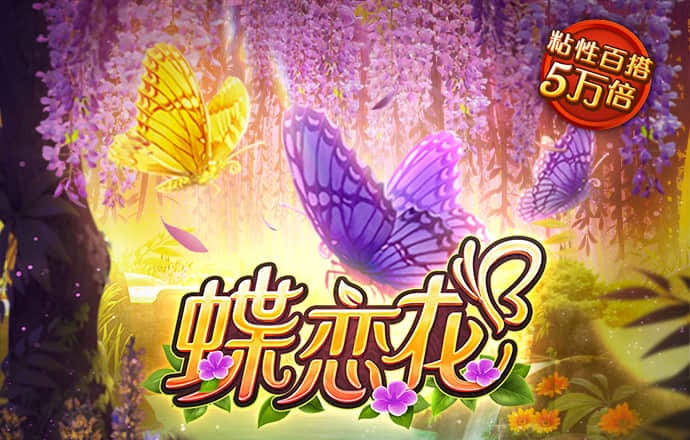 333体育网址